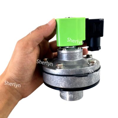 DMF-Y-25 1'' BFEC Встроенный пылесосыпающий импульсный клапан 24V DC 220V AC