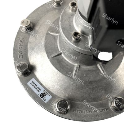 GOYEN 2.5-inch CA62T High-altitude Pulse Valve 2 1/2 Right Angle Type Suitable Diaphragm K5004 K5000