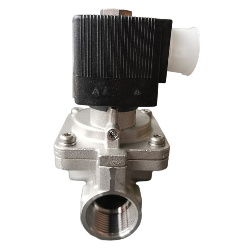 G2 Женская нить Burkert 6281 Модуль управления промышленными жидкостями 2/2 NC 40.0 Большой проходный отверстий EPDM уплотнительный комплект из нержавеющей стали 8W катушка совместимая с постоянным током / переменным током 00222028 00222029 00222031